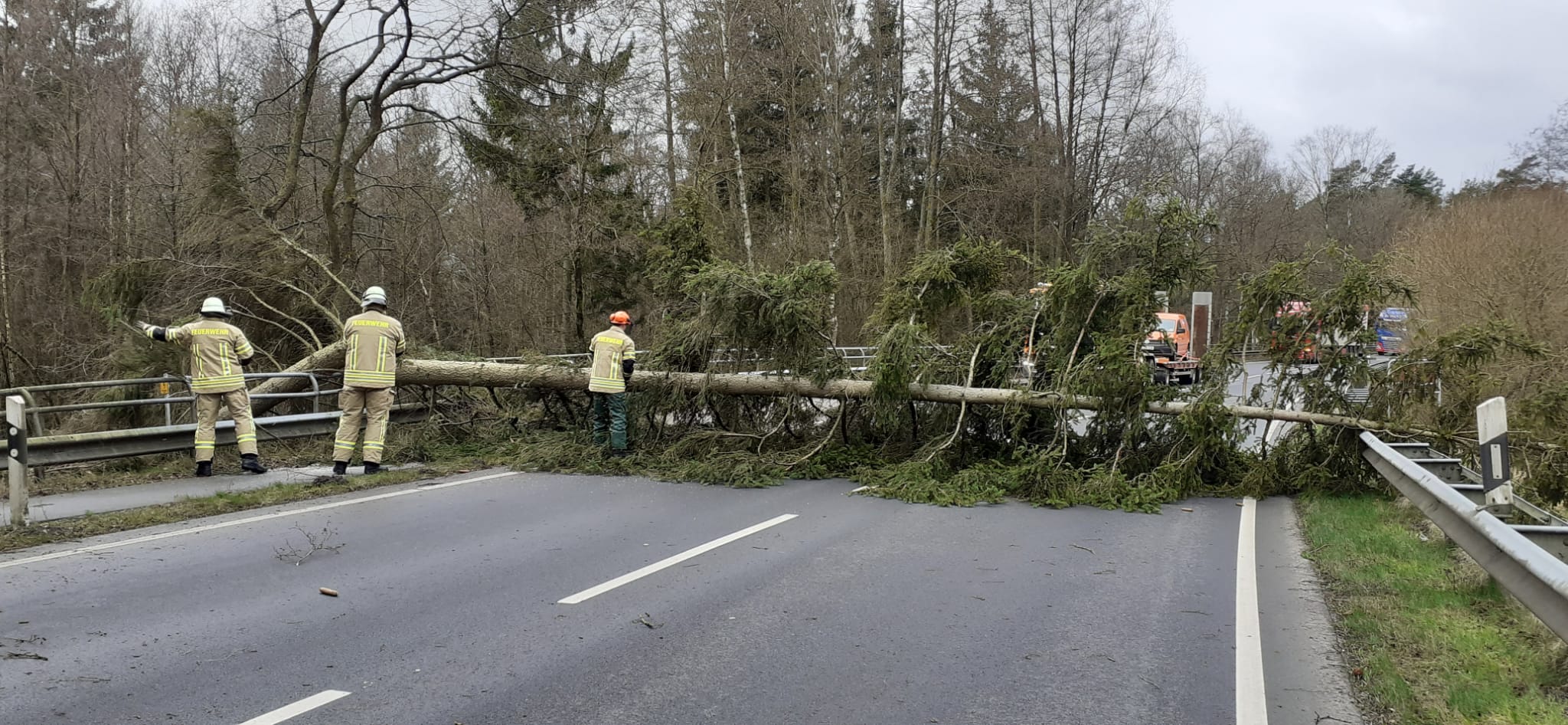Hilfeleistung Baum Hilfeleistung Baum