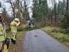 Hilfeleistung Baum